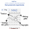 Poziv za učešće u programu izgradnje kapaciteta "Rast grassroots organizacija"